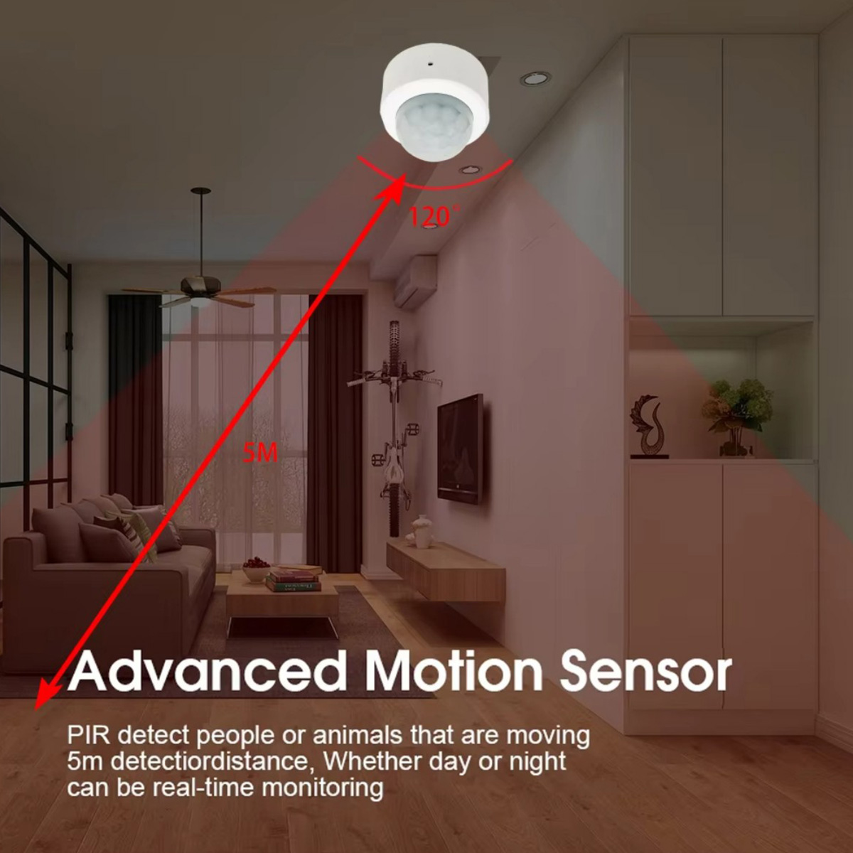 Zigbee PIR Motion Sensor Human - đánh giá và giá Home Security Tools