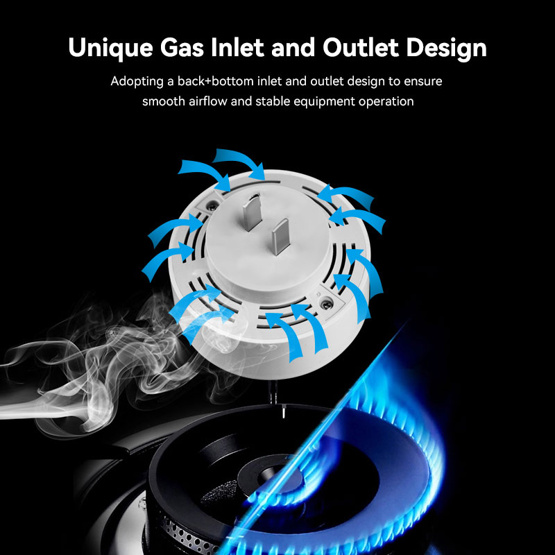 Meian Zigbee Gas Detector Tuya - đánh giá và giá Home Security Tools