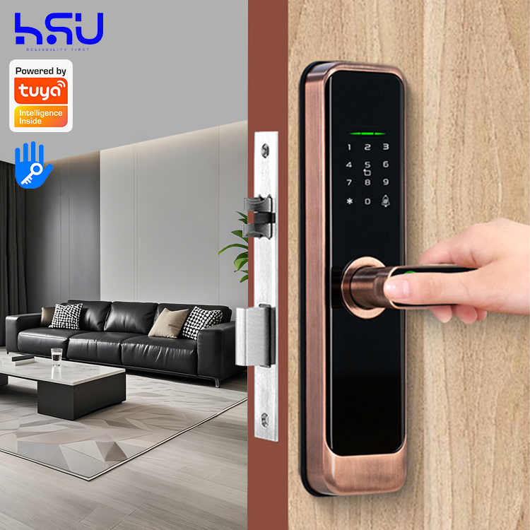 Digital Smart Doorlock Passcod - đánh giá và giá Home Security Door